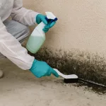 Schimmelbehandlung am Kellerboden mit Bürste und Sprühflasche durch Fachkraft in Schutzkleidung